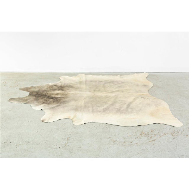 Genuine Brazilian Cowhide, Silver 6′6″ × 7′6″ Chairish