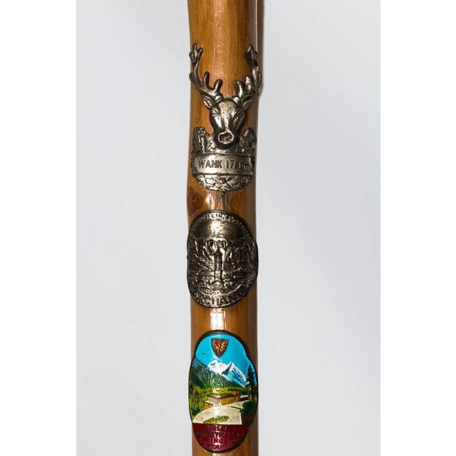 Vintage German Walking Sticks For Sale In New York - Image 6 of 13