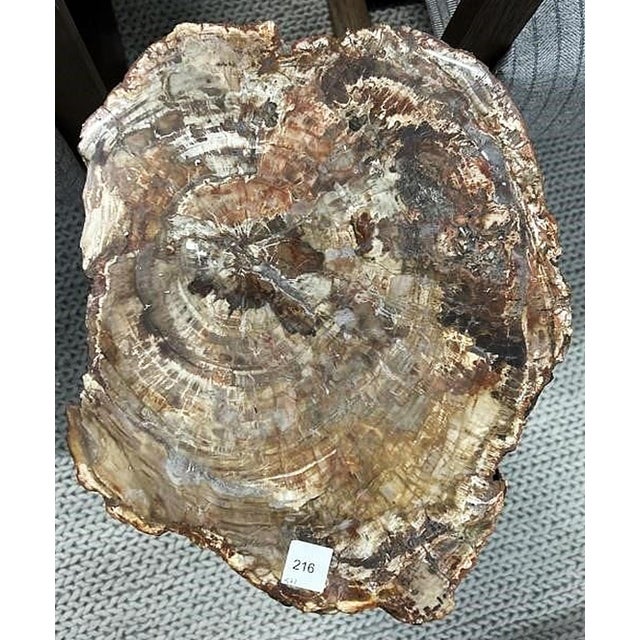 Wood Petrified Wood Side Table For Sale - Image 7 of 8