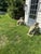 Traditional Pair of Vintage Cast Composite Elephant Garden Planters For Sale - Image 3 of 3