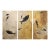 Fossil Fish Triptych 8006abc For Sale