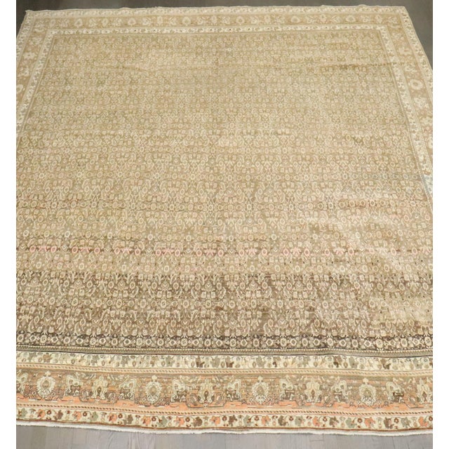 An early 20th Century Persian Bidjar carpet. Main colors brown and Caramel then a pop of bright striated pink tones as well