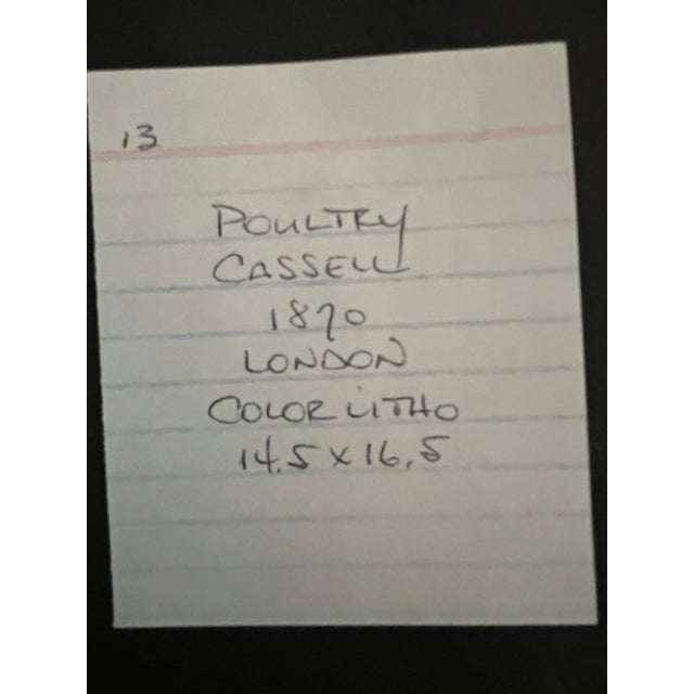 Late 19th Century Cassell (Poultry) Original Framed Lithographs - Set of 2 For Sale - Image 9 of 10