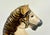 Carved Wooden Hand-Painted Carousel Horse, 1900s For Sale - Image 4 of 18