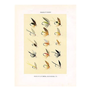 Vintage Trout Fishing Flies Print by Charles Orvis, Original Vintage Fishing Print, Lithograph For Sale