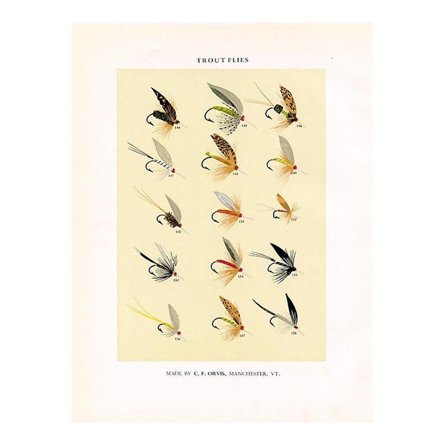 Vintage Trout Fishing Flies Print by Charles Orvis, Original Vintage Fishing Print, Lithograph For Sale