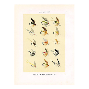 Vintage Trout Fishing Flies Print by Charles Orvis, Original Vintage Fishing Print, Lithograph