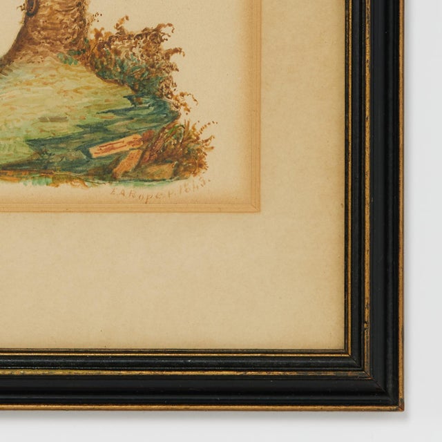 Paint Framed Antique Watercolor of a Parrot For Sale - Image 7 of 8