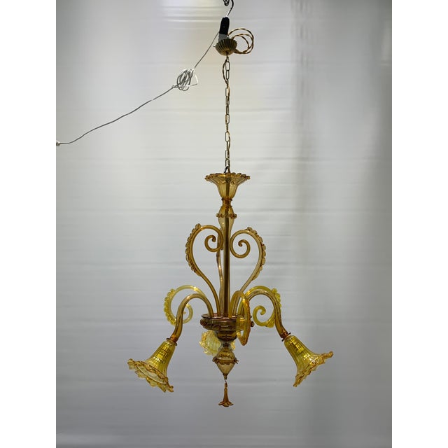 This murano glass chandelier features a structure suspended by a gold-plated metal chain connected to a brass ceiling...