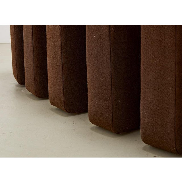 DS-600 Snake Sofa by Ueli Berger for de Sede, Switzerland, 1970s, Set of 22 For Sale - Image 10 of 15