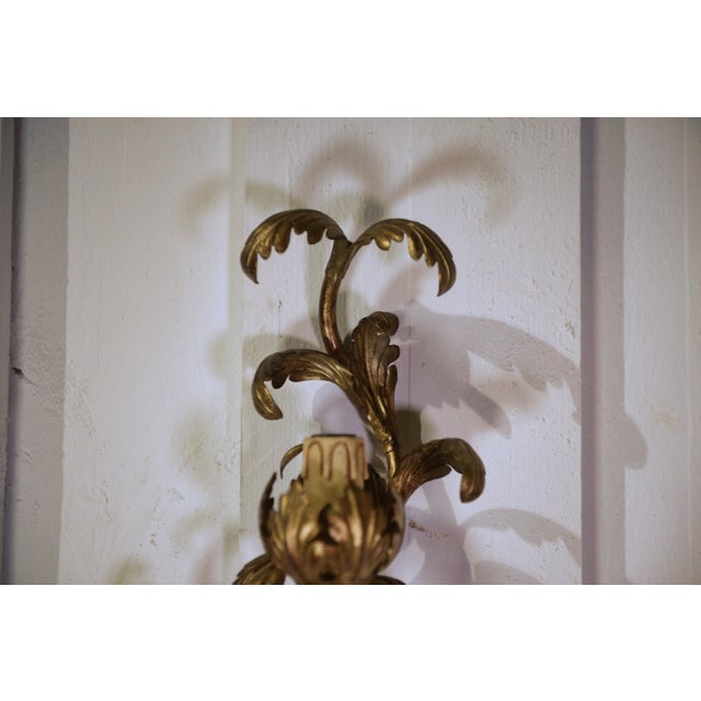 Metal Vintage Floral Wall Sconces in Gilt Steel, 1960s, Set of 2 For Sale - Image 7 of 8