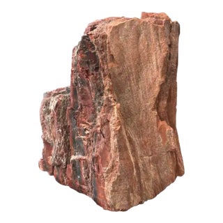 Petrified Wood Sculpture, Organic Modern Design, #2 For Sale