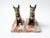 Art Deco Pair of French Art Deco Dog Bookends, Signed Jamar, C. 1930 For Sale - Image 3 of 18