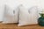 Linen Set of 2, Linen Stag Cactus Silk Moroccan Pillows For Sale - Image 8 of 8