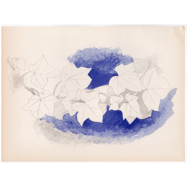 Modern Georges Braque, Ivy and Flower Vase, 1955, Lithograph For Sale - Image 3 of 3
