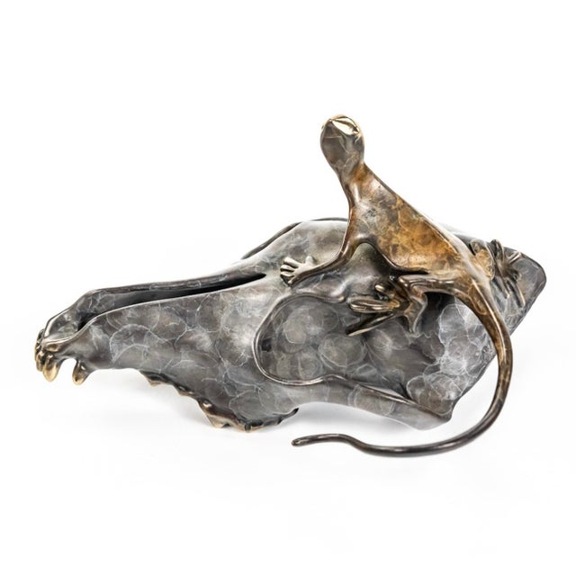 Metal Rare Bronze Lizard on Skull by Michael Storey For Sale - Image 7 of 7