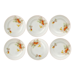 1920s Shelley Cape Gooseberry 10" Plates, Set of 6