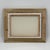 Original Contemporary Conch Shell Still Life Painting For Sale - Image 10 of 10