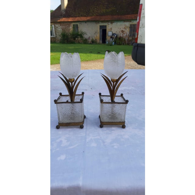 Pair of decorative elements in frosted glass and gilt brass depicting tulips in orange tree crates, Maison Charles?,...