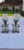 Pair of decorative elements in frosted glass and gilt brass depicting tulips in orange tree crates, Maison Charles?,...