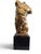 Italian Artist, Gilt Bronze Male Torso on Black Marble Base, 1950s, Bronze For Sale - Image 3 of 13
