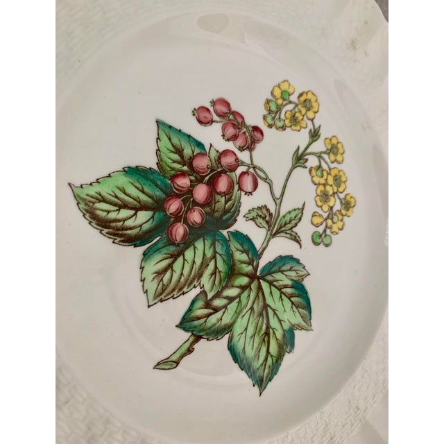 Ceramic Vintage English Copeland Spode ‘Glendale’ Scalloped Plates in Chelsea Wicker, Botanical Centers With Varied Hand Colored Fruit & Floral- Set of 3 For Sale - Image 7 of 12