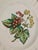 Ceramic Vintage English Copeland Spode ‘Glendale’ Scalloped Plates in Chelsea Wicker, Botanical Centers With Varied Hand Colored Fruit & Floral- Set of 3 For Sale - Image 7 of 12