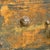 Antique Japanese Wooden Chest, 1890 For Sale - Image 10 of 17
