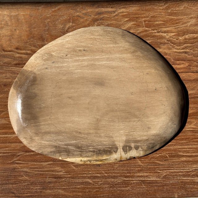 Large Oval Beige Petrified Wood Trinket Tray, 1980s For Sale - Image 6 of 9
