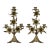 Pair Napoleon III Period Bronze Floral Candelabra For Sale