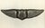 Early 20th Century Photograph of Ww1 U S Air Service Pilot Wings For Sale