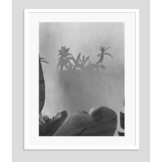 Modern Summer Evening Shadowplay by Stuart Möller Framed For Sale - Image 3 of 3