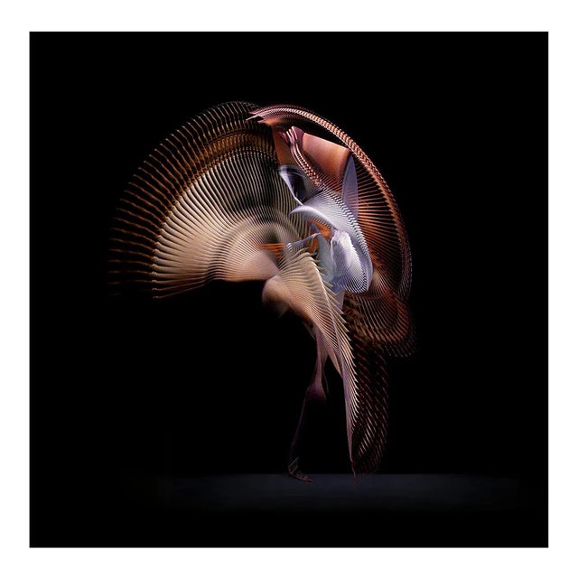 Abstract Dancers, White 3, 2019, Photograph For Sale