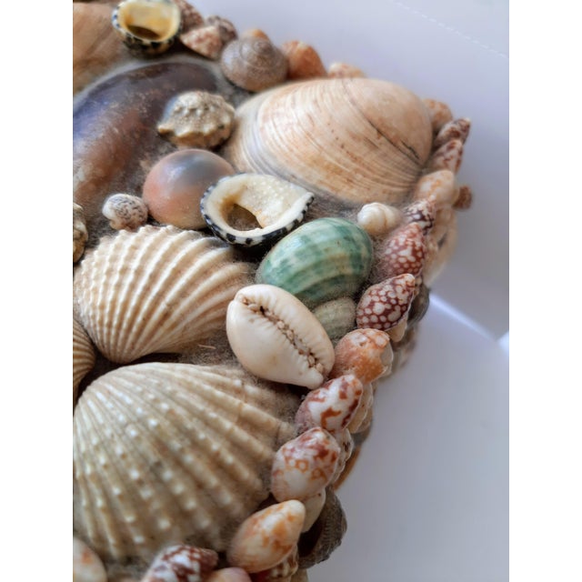 Vintage Coastal Encrusted Shell Box For Sale - Image 11 of 12