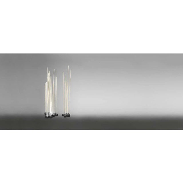 Wood Klaus Begasse 'Reeds Triple' Indoor or Outdoor Floor Lamp for Artemide For Sale - Image 7 of 11