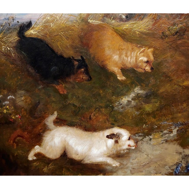 19th Century Four Terriers Chasing a Rabbit in the Wild -19th Century Oil Painting For Sale - Image 5 of 9