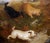 19th Century Four Terriers Chasing a Rabbit in the Wild -19th Century Oil Painting For Sale - Image 5 of 9