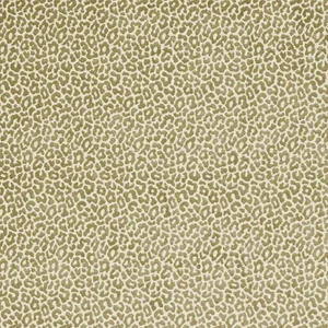 Schumacher X Timothy Corrigan Madeleine Velvet Fabric in Verdigris
