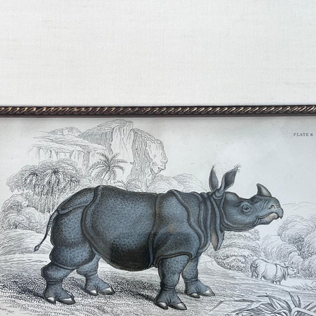 Wood Pair of antique engravings of Rhinoceroses signed Stewart and Lixars // set of two // custom framing // burlwood frames // collectible For Sale - Image 7 of 10