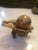 Bronze 19th C. French Bronze Bird Inkwell For Sale - Image 8 of 11