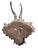 1900 - 1909 Roe Deer Trophy 218 Black Forest Antlers Mount For Sale - Image 5 of 5