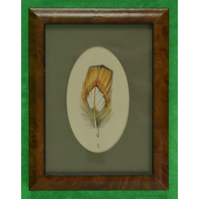 Traditional "Pair X Pheasant Feathers C1998 Watercolours" by Harry Spencer For Sale - Image 3 of 5