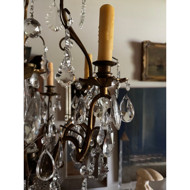 Bronze Antique Louis XV Style Crystal Chandelier For Sale - Image 8 of 13
