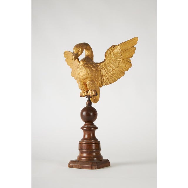 Italian Artist, Eagle, 1800s, Carved and Gilded Walnut For Sale - Image 10 of 10