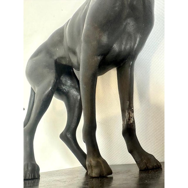 French Cast Iron Greyhound Figurine, 1900s For Sale - Image 4 of 17