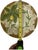Ceramic 1970s Banana Tree Plates, 8” Wide, Hand Painted - Set of 4 For Sale - Image 7 of 9