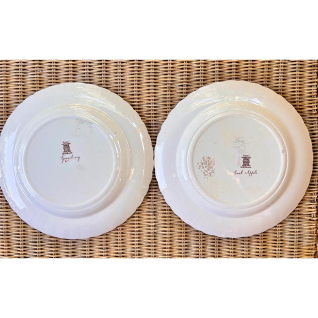 Spode Glendale Gooseberry and Crabapple Dinner Plates- a Pair For Sale - Image 9 of 11