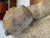 1970s Inuit Wilson Oozeva Carving of Polar Bear For Sale In Palm Springs - Image 6 of 11