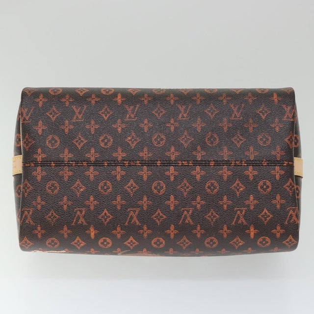 Louis Vuitton Catgram Speedy Bandouliere 30 Hand Bag Brown M44401 
