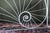 A statement fireplace screen that is shaped like a nautilus shell. Stylized line drawing in metal. Lightweight and great...